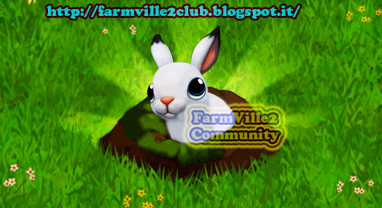 rabbittunnel