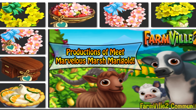 Productions-of-Meet-Marvelous-Marsh-Marigold-Cover