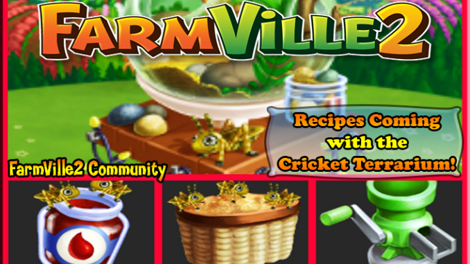 Recipes-Coming-with-the-Cricket-Terrarium-Cover