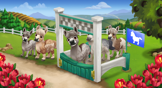 minidonkeyRacing_moreRaces-98a45488641bd1f46b94a41c608e449a