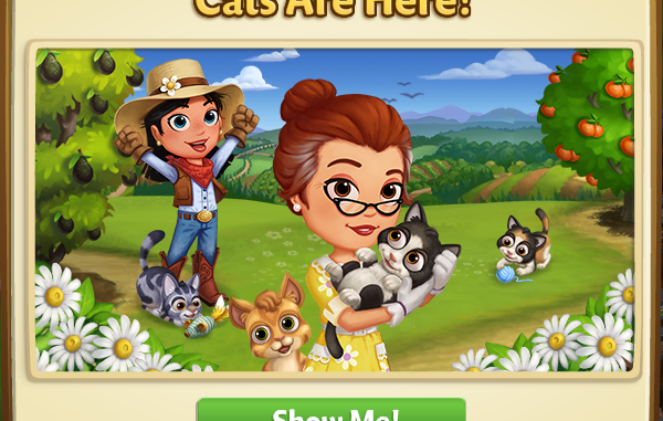 CatCover