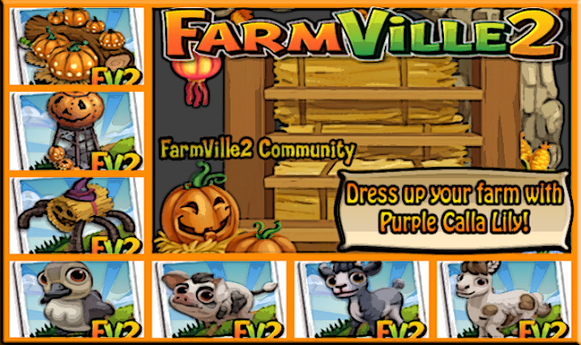 Dress-up-your-farm-with-Purple-Calla-Lily2521-Cover