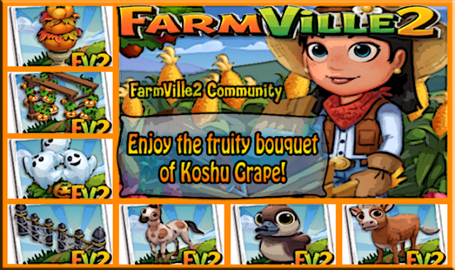 Enjoy-the-fruity-bouquet-of-Koshu-Grape2521-Cover