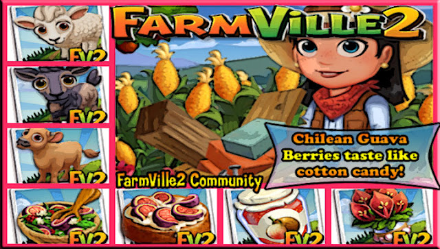 Chilean-Guava-Berries-taste-like-cotton-candy2521-2528Market-LE-Items2529-Cover