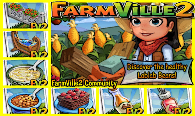 Discover-the-healthy-Lablab-Beans2521