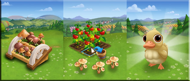scotchBonnetMushroomBasket_Slot1