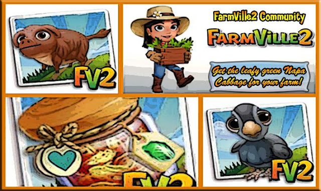 GettheleafygreenNapaCabbageforyourfarm2521