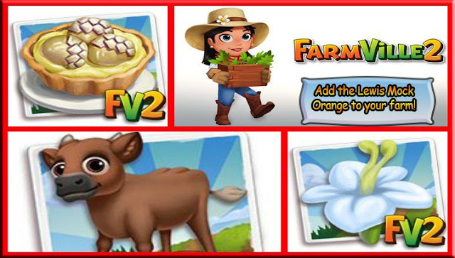 AddtheLewisMockOrangetoyourfarm2521